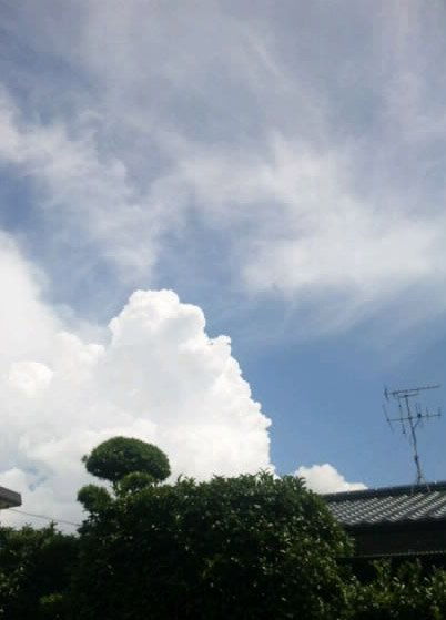 f0224639_73277.jpg