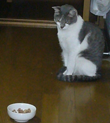 ポーカーフェイス_f0002743_1594846.jpg