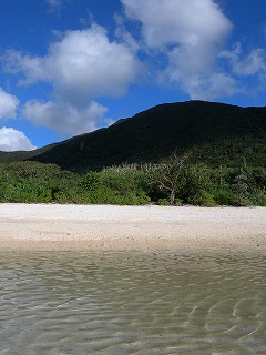 島旅2011⑦　石垣島　米原ビーチ_b0164754_23371986.jpg