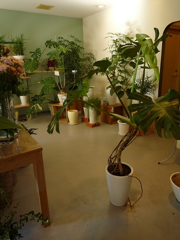 a0201358_1924969.jpg