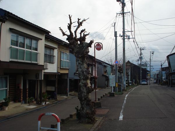 f0216062_98752.jpg