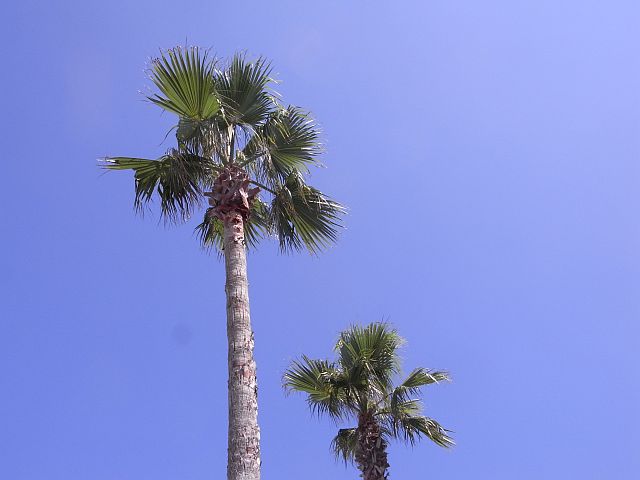 e0220163_18115144.jpg