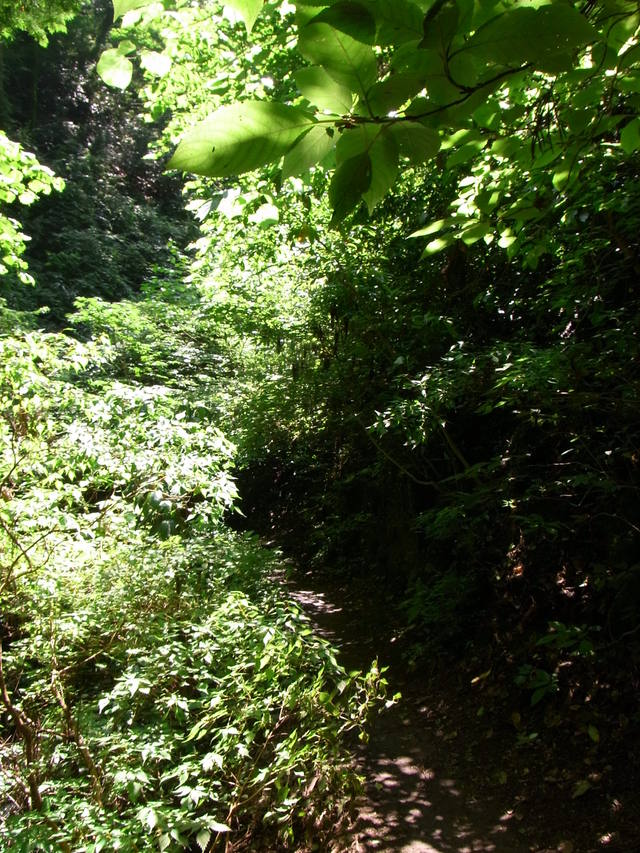 d0162966_153312.jpg
