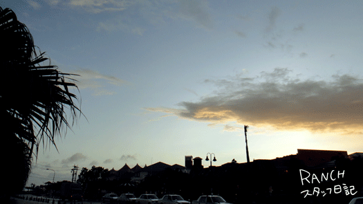 d0181266_10193914.gif