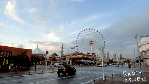 d0181266_10194881.gif