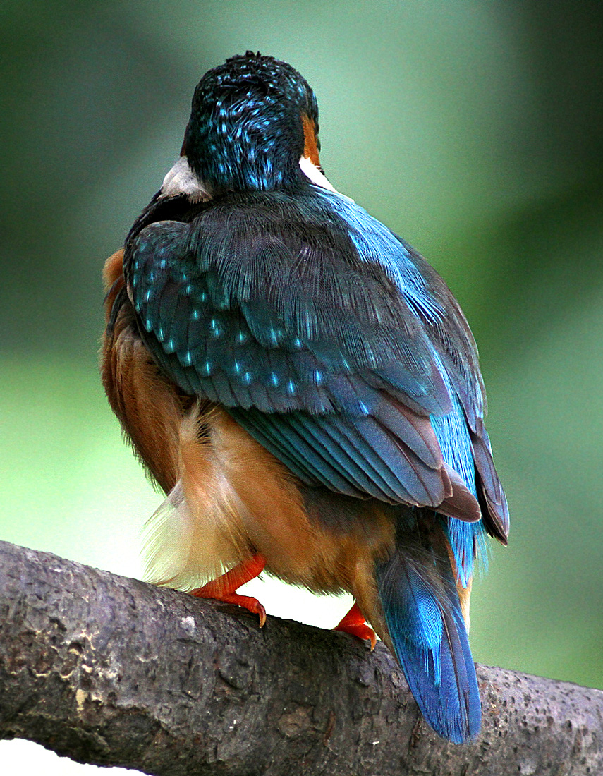 f0215767_10261054.jpg