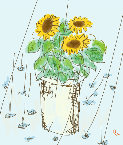 a0211669_1012927.gif