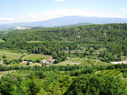 b0163474_16964.jpg