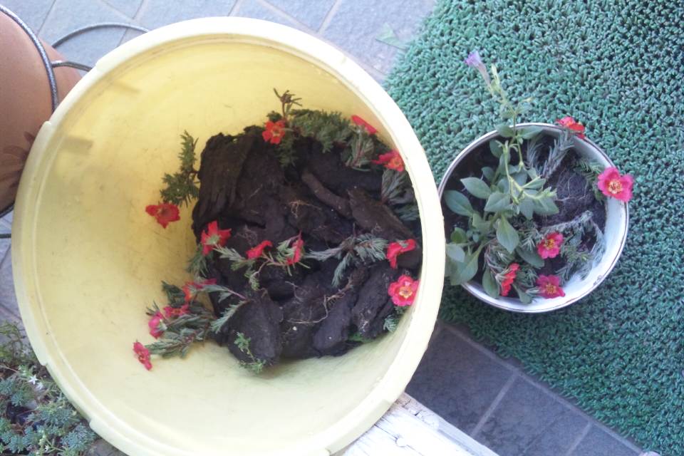 c0215176_15342884.jpg
