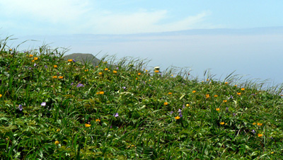 f0083977_714885.jpg