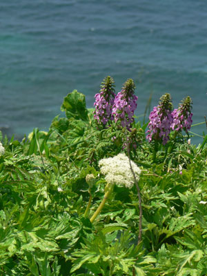 f0083977_72545.jpg