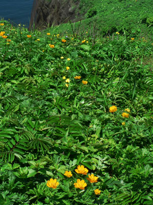 f0083977_731962.jpg