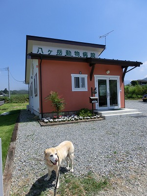 e0222588_121731100.jpg