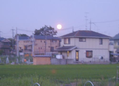 ●ムーンゴッタ・2011年7月_d0053294_15444383.jpg