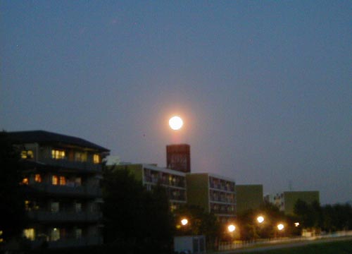●ムーンゴッタ・2011年7月_d0053294_15452987.jpg