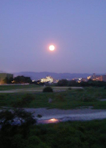 ●ムーンゴッタ・2011年7月_d0053294_1545724.jpg