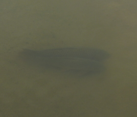 f0166694_19324347.jpg