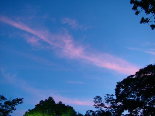 七夕祭_a0047200_21355614.jpg