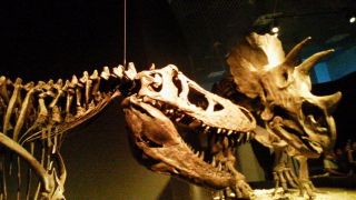 e0197302_2233116.jpg