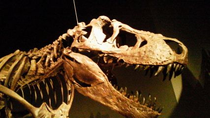 e0197302_22441276.jpg