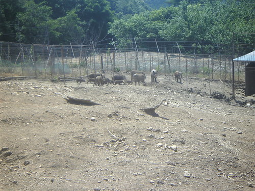 山登り_b0080104_18353450.jpg