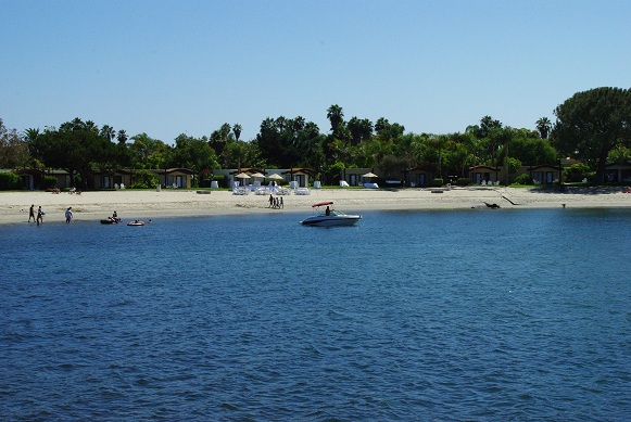 f0038904_1635582.jpg