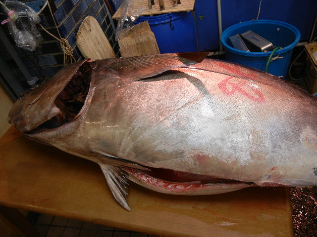 e0028505_4541753.jpg