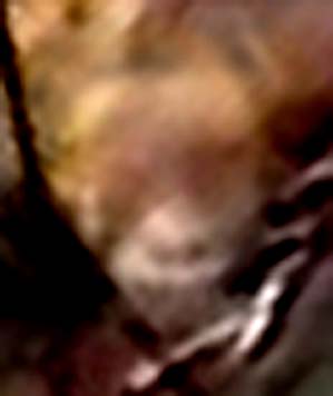 e0103408_21521315.jpg