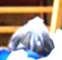 e0103408_22325383.jpg