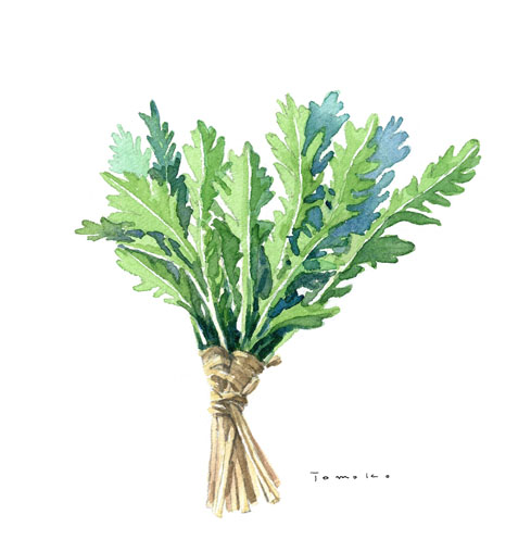 「博多ふるさと野菜」水彩画_c0186612_1513958.jpg