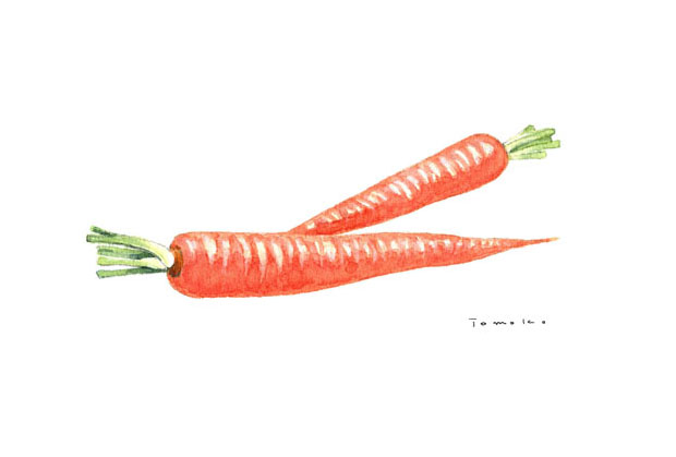 「博多ふるさと野菜」水彩画_c0186612_15175582.jpg