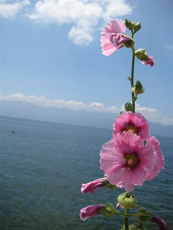 初の沖島散策♪満喫の小旅行_d0037914_19305471.jpg