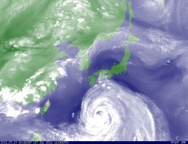 えぞ梅雨、モクレン大剪定、おかだま音楽祭、台風6号_c0025115_2227481.jpg