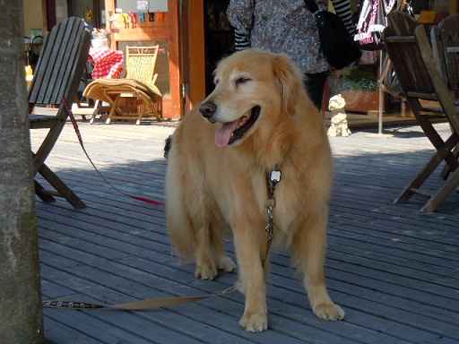 f0114128_7381839.jpg