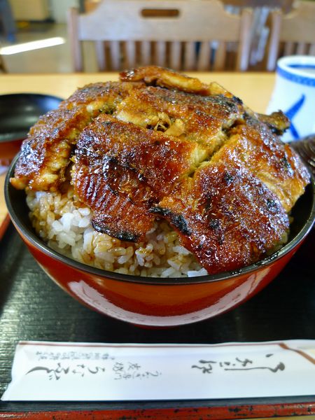 ふじ うな
