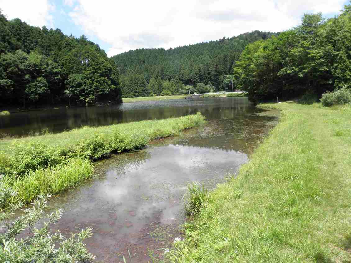 c0172139_073962.jpg