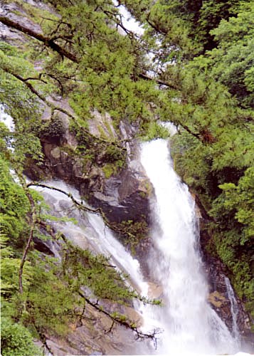 b0214743_17334716.jpg