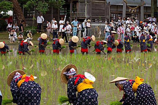 風の通り道_b0214743_17542378.jpg