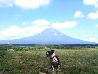 富士山なう。_e0126046_1511971.jpg