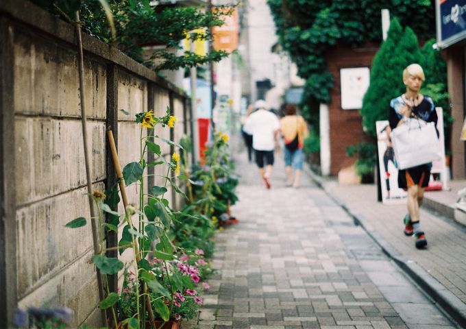 b0170947_156629.jpg
