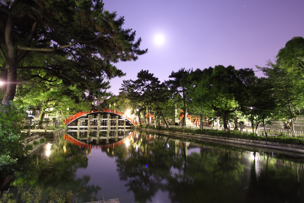 夜の住吉大社 - 夏祭り直前情報☆_d0110849_18254069.jpg