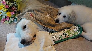 a0201257_15913.jpg
