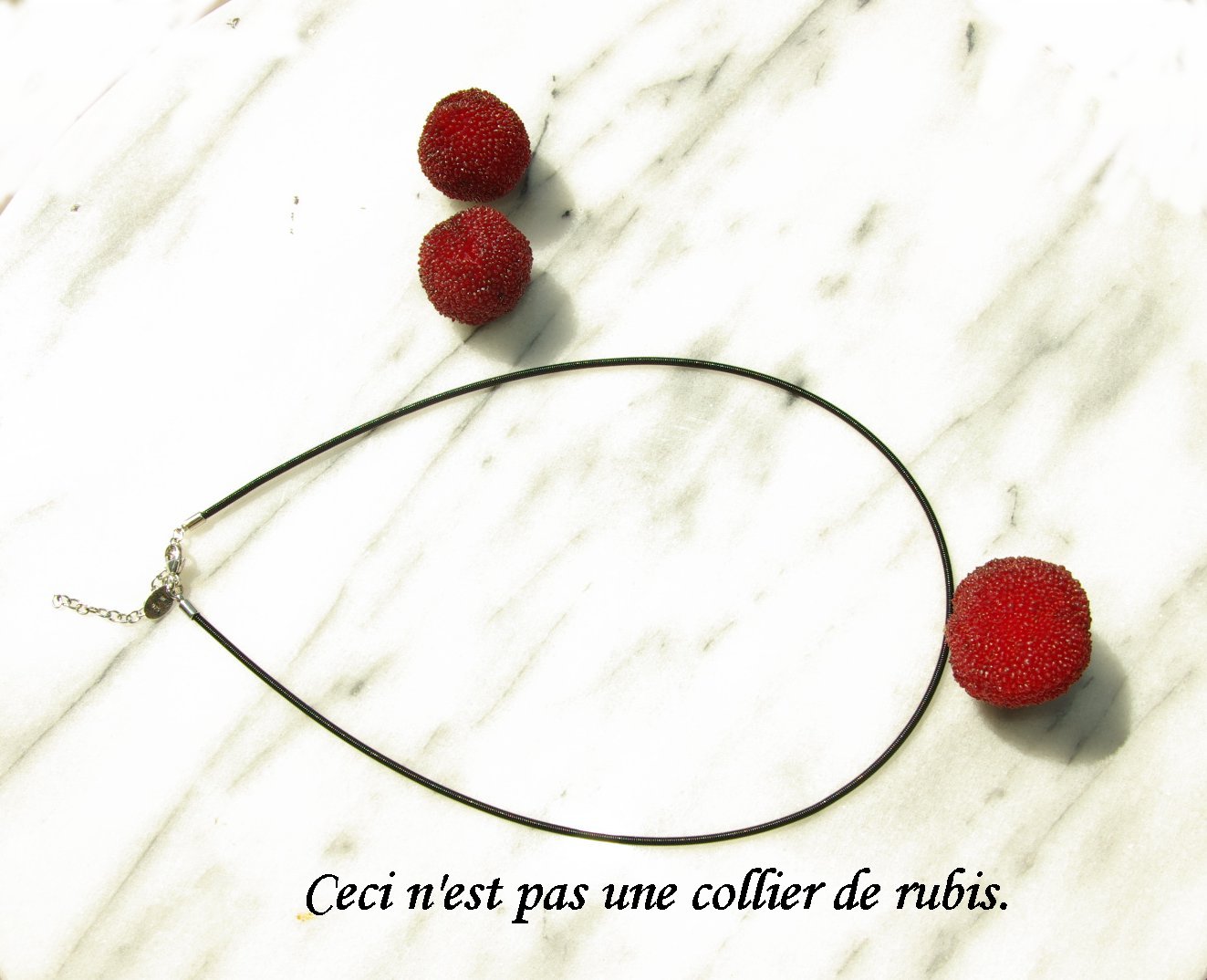 これはルビーではない/Ceci n\'est pas une collier de rubis._e0140365_132348.jpg
