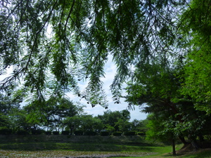 c0216472_1432144.jpg