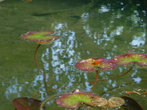c0216472_14321693.jpg