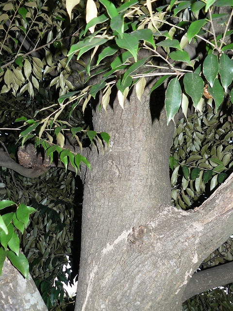 d0019074_15341174.jpg