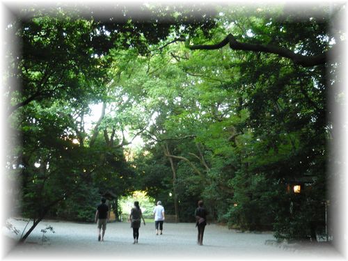 名古屋名物 「ひつまぶし」 ♪_d0175974_6373538.jpg