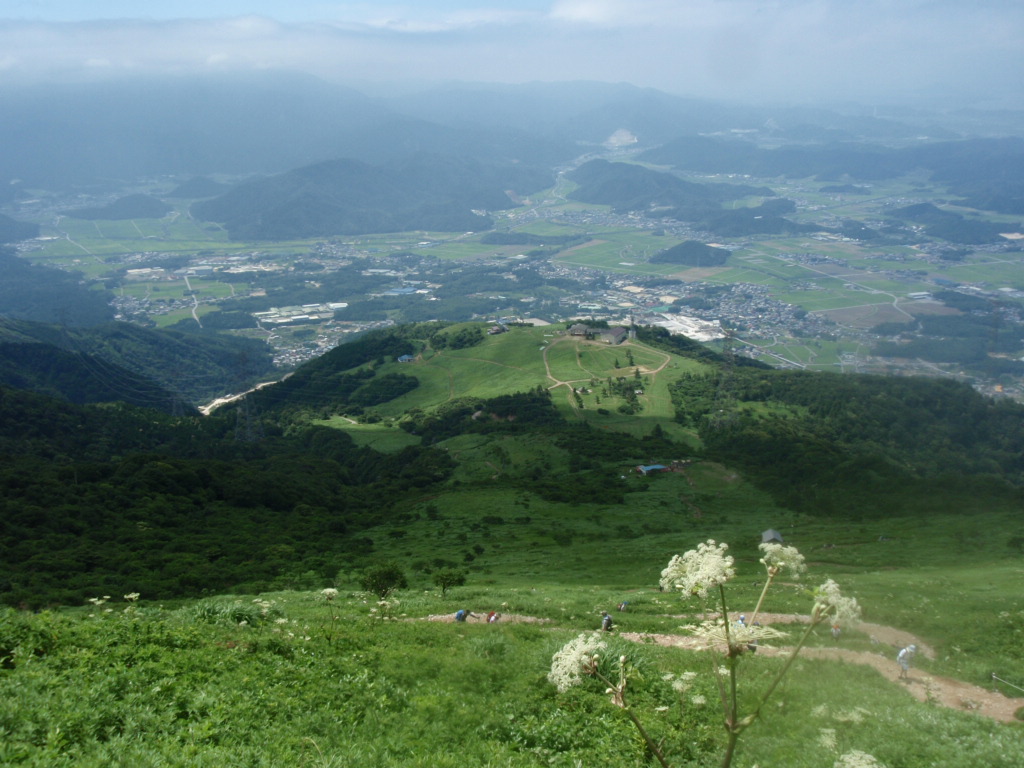 日本百名山：伊吹山_c0066176_2342199.jpg