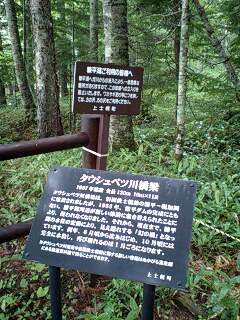 d0101276_15214536.jpg