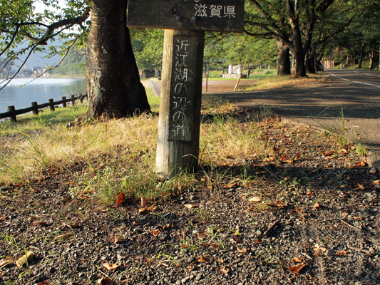 f0023482_05356.jpg